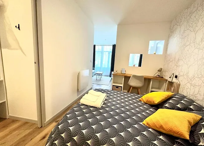 Bel Appartement En Plein Centre Ville